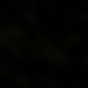 Meet your Posher, Chantelle